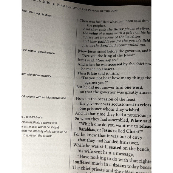 Workbook for Lectors, Gospel Readers & Proclaimers of the Word 2020 & 2022 - Picture 5 of 11